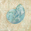 Laguna Shells II Poster Print by Paul Brent - Item # VARPDXBNT984