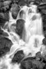 Trailside Waterfall IV BW Poster Print by Douglas Taylor - Item # VARPDXPSTLR633