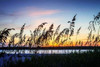 Masonboro Sunset I Poster Print by Alan Hausenflock - Item # VARPDXPSHSF1791