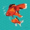 http://c328301.r1.cf1.rackcdn.com/PDXYNG102SMALL.jpg