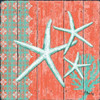 Coral Sea III Poster Print by Paul Brent - Item # VARPDXBNT1110