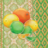 Fruit Ikat IV Poster Print by Paul Brent - Item # VARPDXBNT1165
