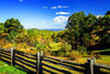 Blue Ridge Backyard Poster Print by Alan Hausenflock - Item # VARPDXPSHSF1982