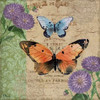 Burlap Butterflies II Poster Print by Paul Brent - Item # VARPDXBNT789