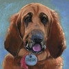 Hound Dog Poster Print by Becky Golubski - Item # VARPDXGBS105