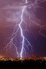 Lightning Portrait Poster Print by Douglas Taylor