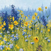 Joyful in July III Poster Print by Shirley Novak - Item # VARPDX28602