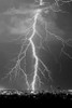 Lightning Portrait BW Poster Print by Douglas Taylor - Item # VARPDXPSTLR683