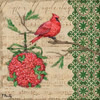Burlap Holiday IV Poster Print by Paul Brent - Item # VARPDXBNT793