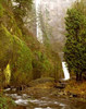 Multnomah Falls Creek Side Poster Print by Ike Leahy - Item # VARPDXPSLHY274