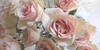 Summer Romance III Poster Print by Monika Burkhart - Item # VARPDXPSBHT355