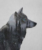 Winter Wolf Poster Print by Davies Babies - Item # VARPDXD1001D