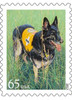 Dogs At Work - Searching Poster Print by  US POSTAL SERVICE - Item # VARPDX3694