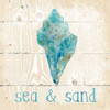 Sea And Sand Poster Print by Carol Robinson - Item # VARPDX17587