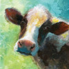 Colorful Quirky Cow Poster Print by Nan - Item # VARPDX17427