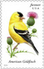 American Goldfinch Poster Print by  US POSTAL SERVICE - Item # VARPDX3320