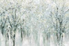 Winter Mist Poster Print by Carol Robinson - Item # VARPDX17981