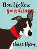 Dont Follow Your Dreams, Chase Them Poster Print by Ginger Oliphant - Item # VARPDXO245D