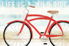 Beach Cruiser His I Poster Print by Michael Mullan - Item # VARPDX23259