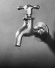 Close-up of a faucet Poster Print - Item # VARSAL25538360