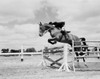 Rider and horse jumping over obstacle Poster Print - Item # VARSAL255419227