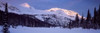 Trophy Mountain  British Columbia  Canada Poster Print by Panoramic Images (37 x 12) - Item # PPI86694