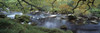 http://c328301.r1.cf1.rackcdn.com/PPI135872S.jpg