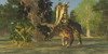 A Pentaceratops dinosaur ambles among forest trees in the Cretaceous Era Poster Print - Item # VARPSTCFR200312P