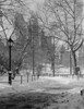 USA  New York City  Manhattan  Central Park  winter Poster Print - Item # VARSAL255422589