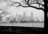USA  New York State  New York City  Lower Manhattan skyline from Govenor Island at dusk Poster Print - Item # VARSAL255420027