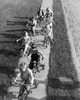 Children riding tricycles on the sidewalk Poster Print - Item # VARSAL2552268