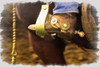 Cowboy Boot PosterPrint
