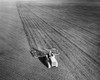 High angle view of a farmer plowing a field with a harrow  California  USA Poster Print - Item # VARSAL25530455