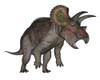 Triceratops dinosaur standing up, white background Poster Print - Item # VARPSTEDV600212P