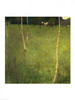 http://c328301.r1.cf1.rackcdn.com/BALXAM68622.jpg