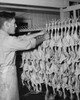 Side profile of a male worker working in a food processing plant  Stamford  Connecticut  USA Poster Print - Item # VARSAL25525631