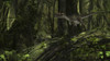 Utahraptor in a prehistoric forest Poster Print - Item # VARPSTKVA600461P