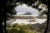 Coastal Scene, Tofino, British Columbia, Canada PosterPrint - Item # VARDPI1851721