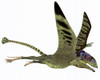 Peteinosaurus was a small carnivorous pterosaur from the Triassic Period and was found near Cene, Italy. Poster Print - Item # VARPSTCFR200379P