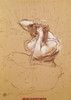 Femme Qui Se Peigne  Henri de Toulouse-Lautrec   Musee Toulouse-Lautrec  Albi  France  Poster Print - Item # VARSAL3815395613