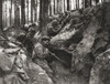 Specially Enlisted Navvies Digging Shelter-Trenches During First World War From The Illustrated War News Published 1915 PosterPrint - Item # VARDPI1872246