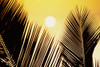 http://c328301.r1.cf1.rackcdn.com/DPI1976903.jpg