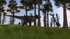 Tyrannosaurus Rex confronts a large Brachiosaurus Poster Print