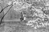 Two women walking in spring scenery Poster Print - Item # VARSAL255423030