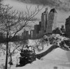 USA  New York City  Central Park in winter Poster Print - Item # VARSAL255424344
