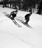 Low angle view of a young couple skiing downhill Poster Print - Item # VARSAL25516933