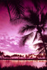 Hawaii, Big Island, Anaeho'omalu Bay, Sunset With Palm Trees, Pink Filter B1509 PosterPrint - Item # VARDPI1998699