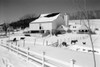 USA  Pennsylvania  farm in winter Poster Print - Item # VARSAL255424493