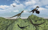 Juravenators chasing Archaeopteryx during the Jurassic Period in what is modern day Germany Poster Print - Item # VARPSTMAS600023P