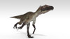 Utahraptor dinosaur, white background Poster Print - Item # VARPSTKVA600773P